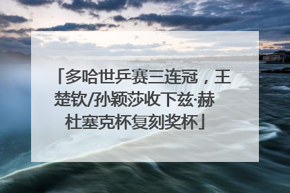 多哈世乒赛三连冠，王楚钦/孙颖莎收下兹·赫杜塞克杯复刻奖杯