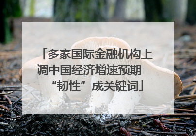 多家国际金融机构上调中国经济增速预期 “韧性”成关键词