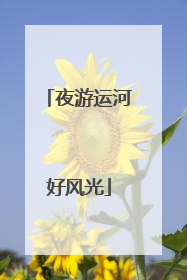 夜游运河好风光