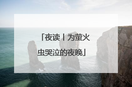 夜读丨为萤火虫哭泣的夜晚