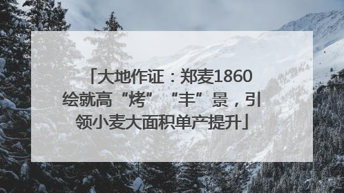 大地作证：郑麦1860绘就高“烤”“丰”景，引领小麦大面积单产提升