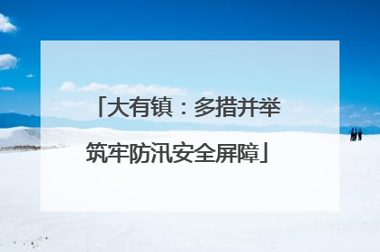 大有镇：多措并举筑牢防汛安全屏障