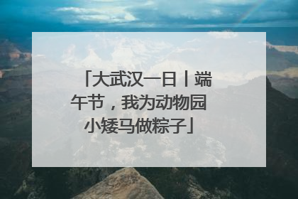 大武汉一日丨端午节，我为动物园小矮马做粽子