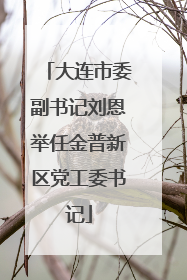 大连市委副书记刘恩举任金普新区党工委书记