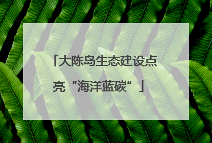 大陈岛生态建设点亮“海洋蓝碳”