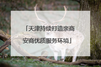 天津持续打造亲商安商优质服务环境