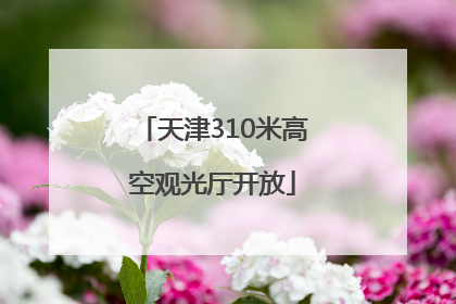 天津310米高空观光厅开放
