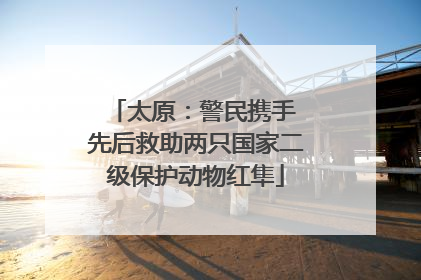 太原：警民携手 先后救助两只国家二级保护动物红隼