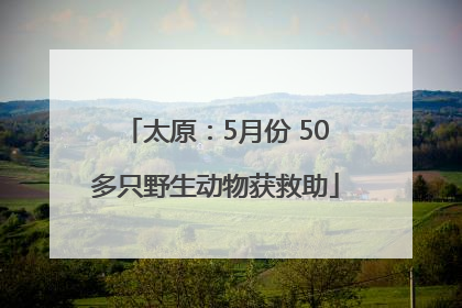 太原：5月份 50多只野生动物获救助