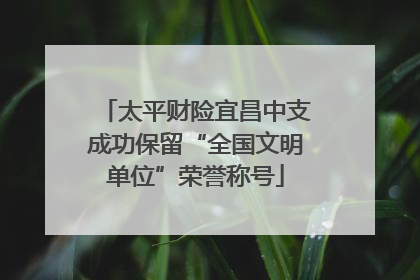 太平财险宜昌中支成功保留“全国文明单位”荣誉称号