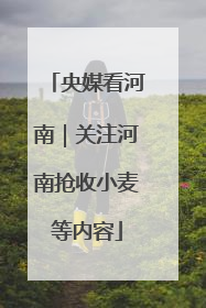 央媒看河南｜关注河南抢收小麦等内容