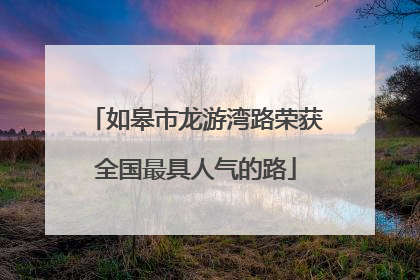 如皋市龙游湾路荣获全国最具人气的路