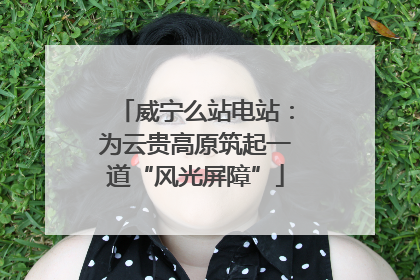 威宁么站电站：为云贵高原筑起一道“风光屏障”