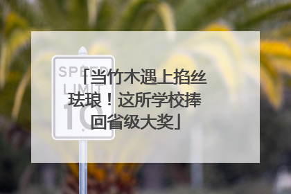 当竹木遇上掐丝珐琅！这所学校捧回省级大奖