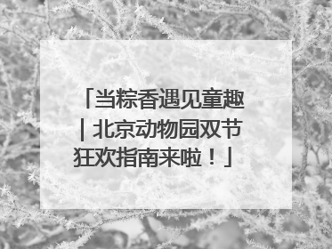 当粽香遇见童趣｜北京动物园双节狂欢指南来啦！