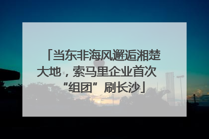 当东非海风邂逅湘楚大地，索马里企业首次“组团”刷长沙