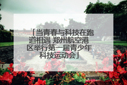 当青春与科技在跑道相遇 郑州航空港区举行第一届青少年科技运动会
