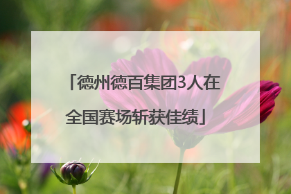 德州德百集团3人在全国赛场斩获佳绩