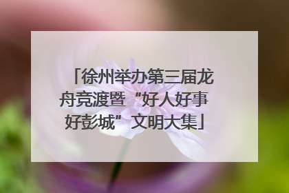 徐州举办第三届龙舟竞渡暨“好人好事好彭城”文明大集
