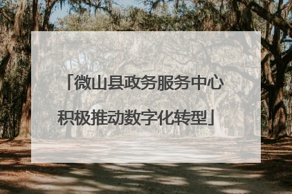 微山县政务服务中心积极推动数字化转型