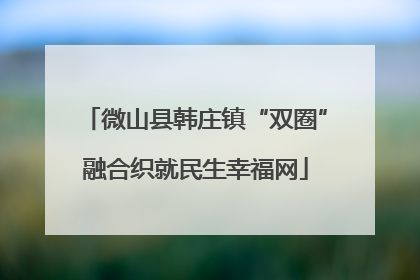 微山县韩庄镇“双圈”融合织就民生幸福网