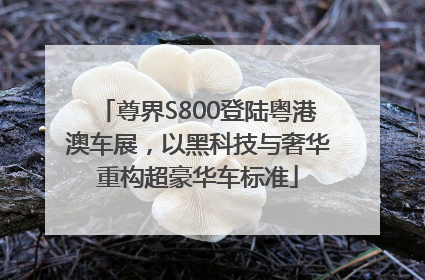 尊界S800登陆粤港澳车展，以黑科技与奢华重构超豪华车标准