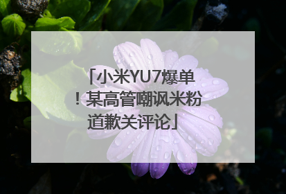 小米YU7爆单！某高管嘲讽米粉道歉关评论