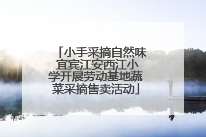 小手采摘自然味 宜宾江安西江小学开展劳动基地蔬菜采摘售卖活动