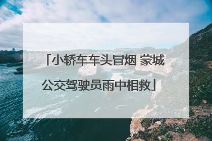 小轿车车头冒烟 蒙城公交驾驶员雨中相救