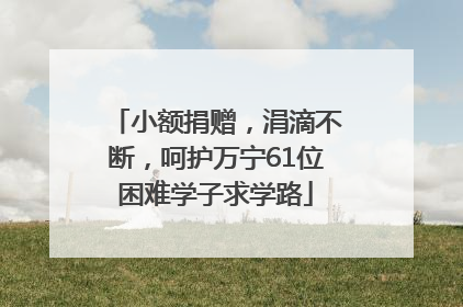 小额捐赠，涓滴不断，呵护万宁61位困难学子求学路