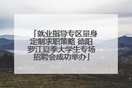 就业指导专区量身定制求职策略 德阳罗江夏季大学生专场招聘会成功举办
