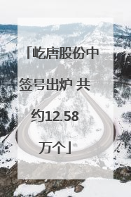 屹唐股份中签号出炉 共约12.58万个