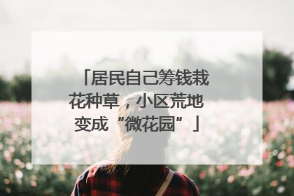 居民自己筹钱栽花种草，小区荒地变成“微花园”
