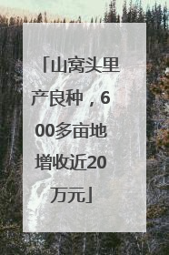 山窝头里产良种，600多亩地增收近20万元