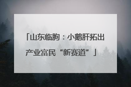 山东临朐：小鹅肝拓出产业富民“新赛道”