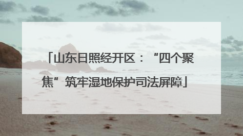 山东日照经开区：“四个聚焦”筑牢湿地保护司法屏障