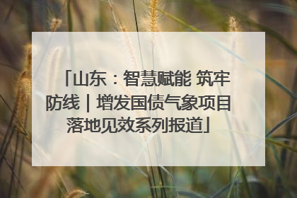山东：智慧赋能 筑牢防线｜增发国债气象项目落地见效系列报道