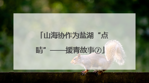 山海协作为盐湖“点睛”——援青故事⑦