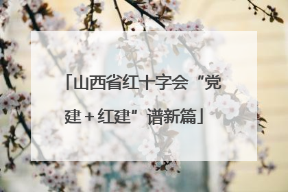 山西省红十字会“党建＋红建”谱新篇