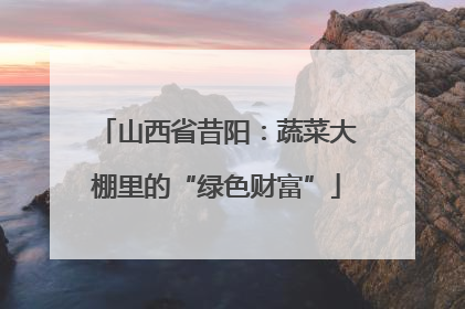 山西省昔阳：蔬菜大棚里的“绿色财富”