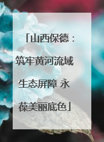 山西保德：筑牢黄河流域生态屏障 永葆美丽底色