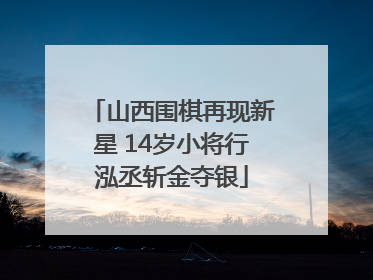 山西围棋再现新星 14岁小将行泓丞斩金夺银
