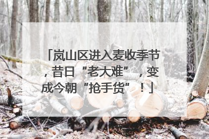 岚山区进入麦收季节，昔日“老大难”，变成今朝“抢手货”！