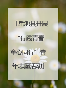 岳池县开展“行践青春 童心同行”青年志愿活动