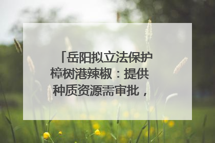 岳阳拟立法保护樟树港辣椒：提供种质资源需审批，违规最高罚5万