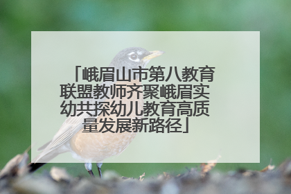 峨眉山市第八教育联盟教师齐聚峨眉实幼共探幼儿教育高质量发展新路径