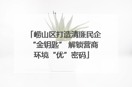 崂山区打造清廉民企“金钥匙” 解锁营商环境“优”密码