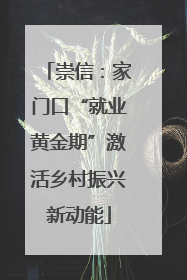 崇信：家门口“就业黄金期”激活乡村振兴新动能