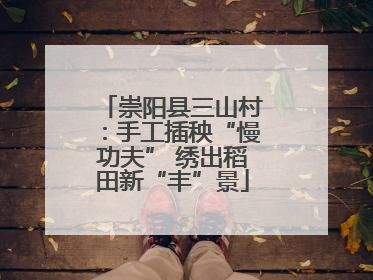 崇阳县三山村：手工插秧“慢功夫” 绣出稻田新“丰”景