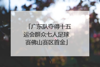 广东队夺得十五运会群众七人足球赛佛山赛区首金